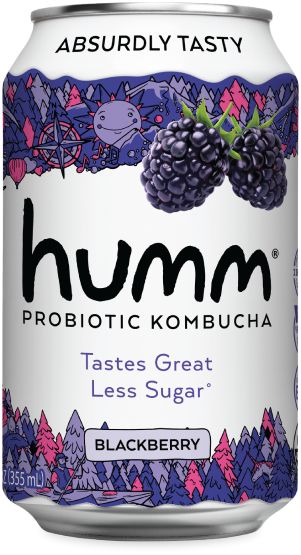 blackberry kombucha