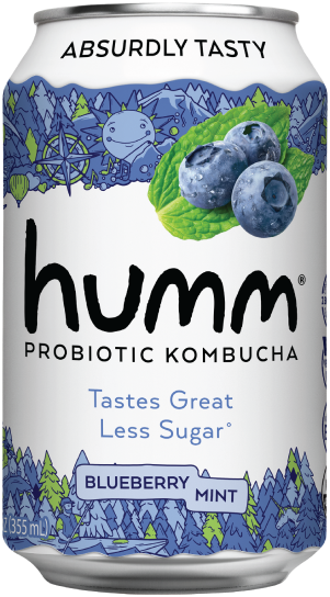 blueberry mint kombucha
