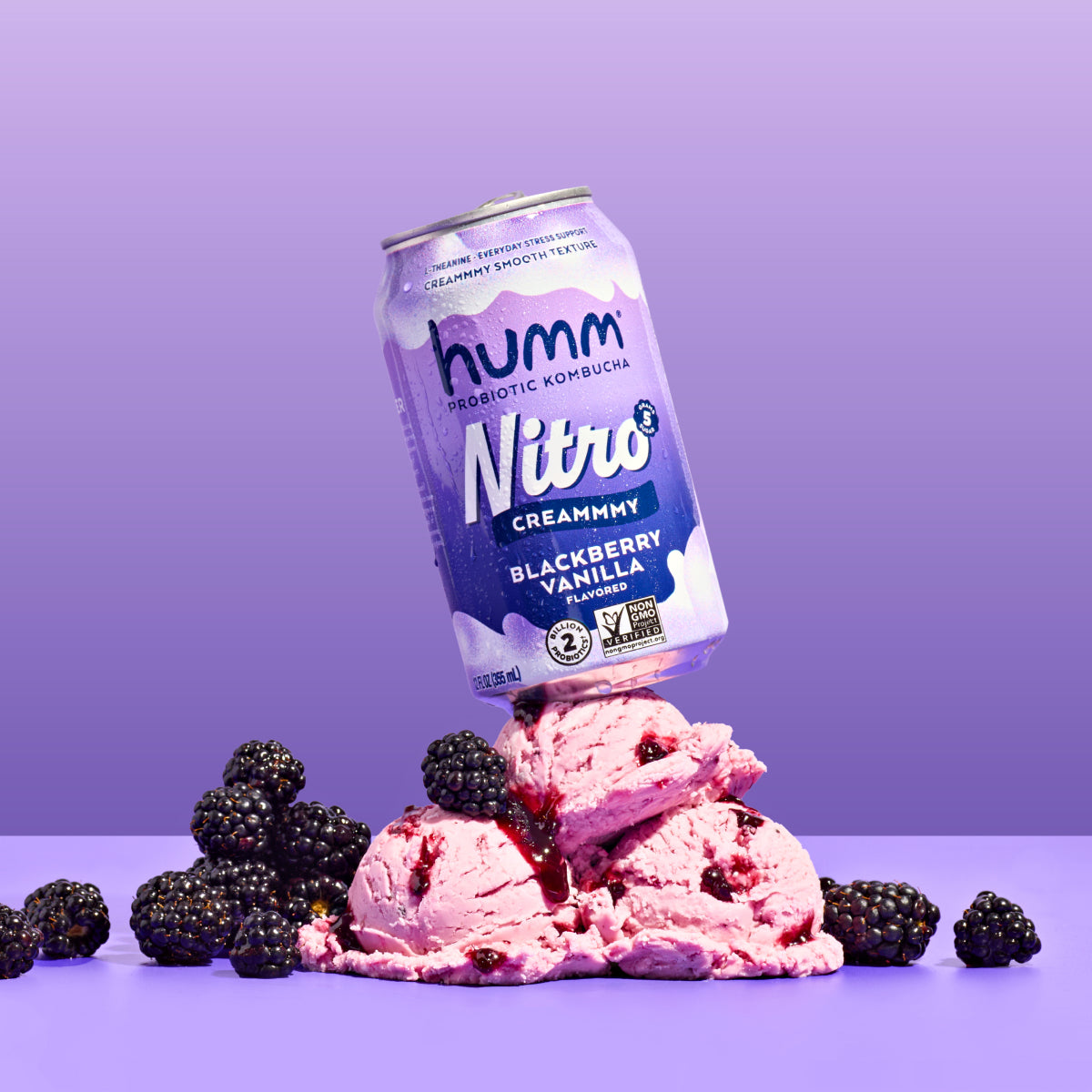 Nitro Blackberry Vanilla Kombucha