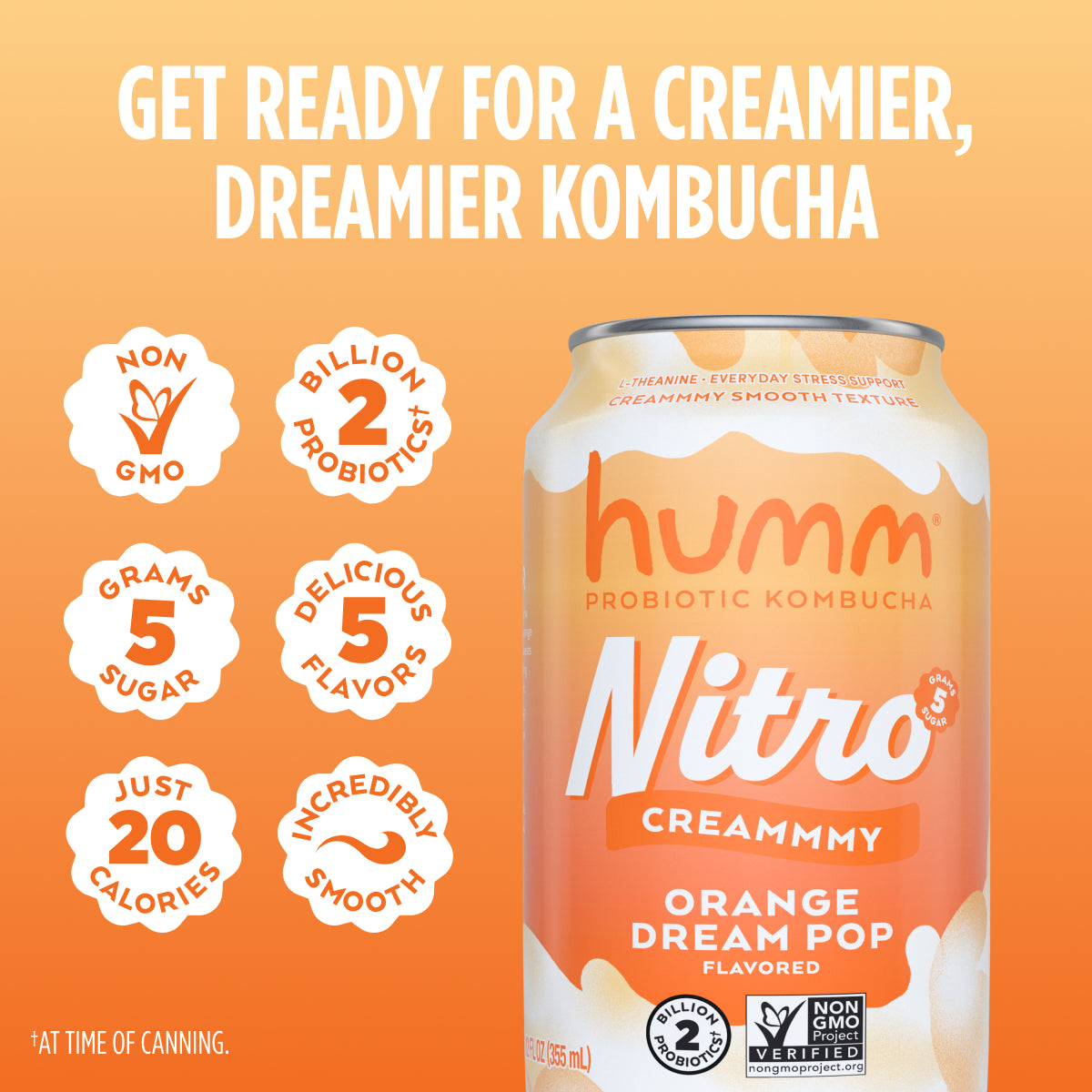 Nitro Orange Dream Pop Kombucha