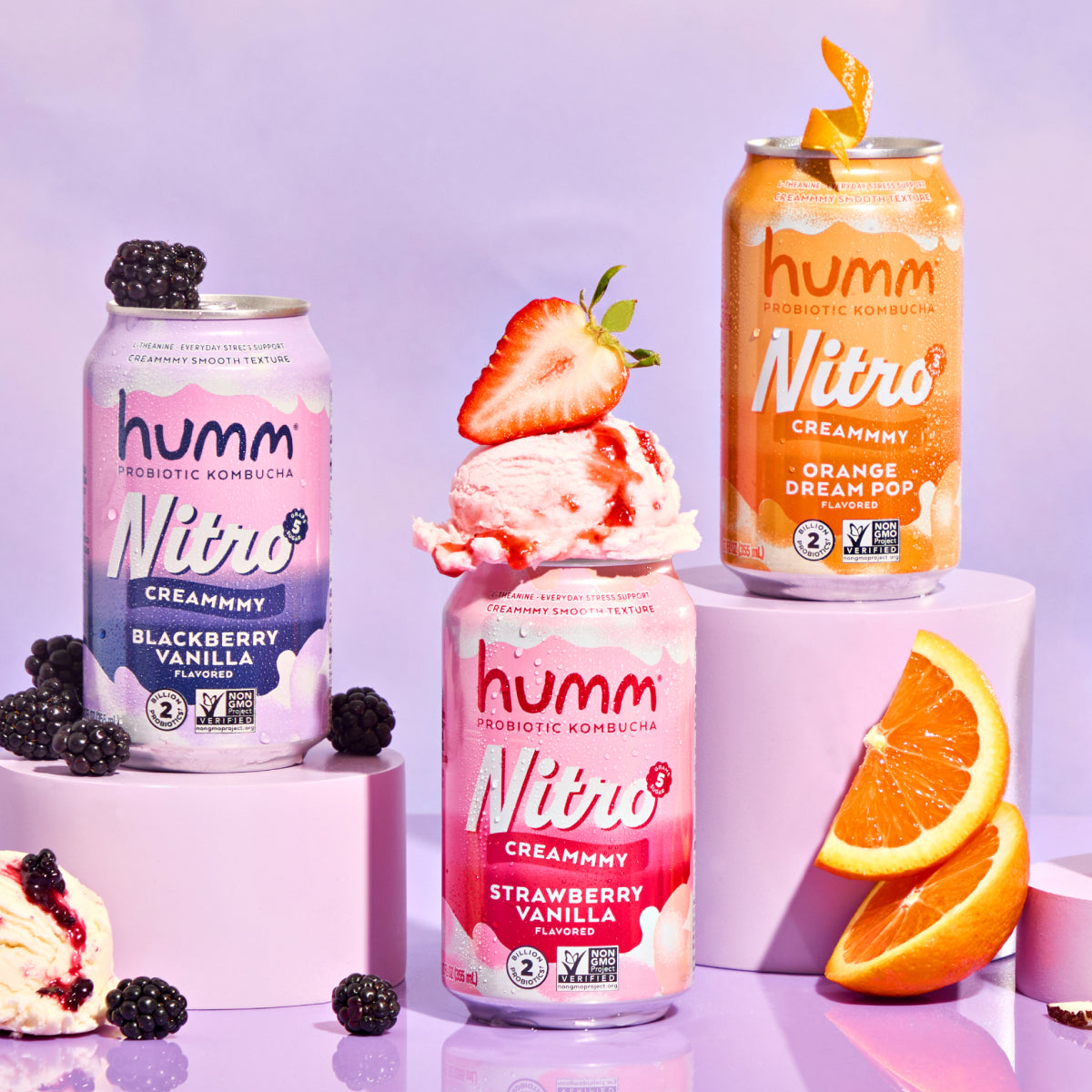 Nitro Kombucha Variety Pack