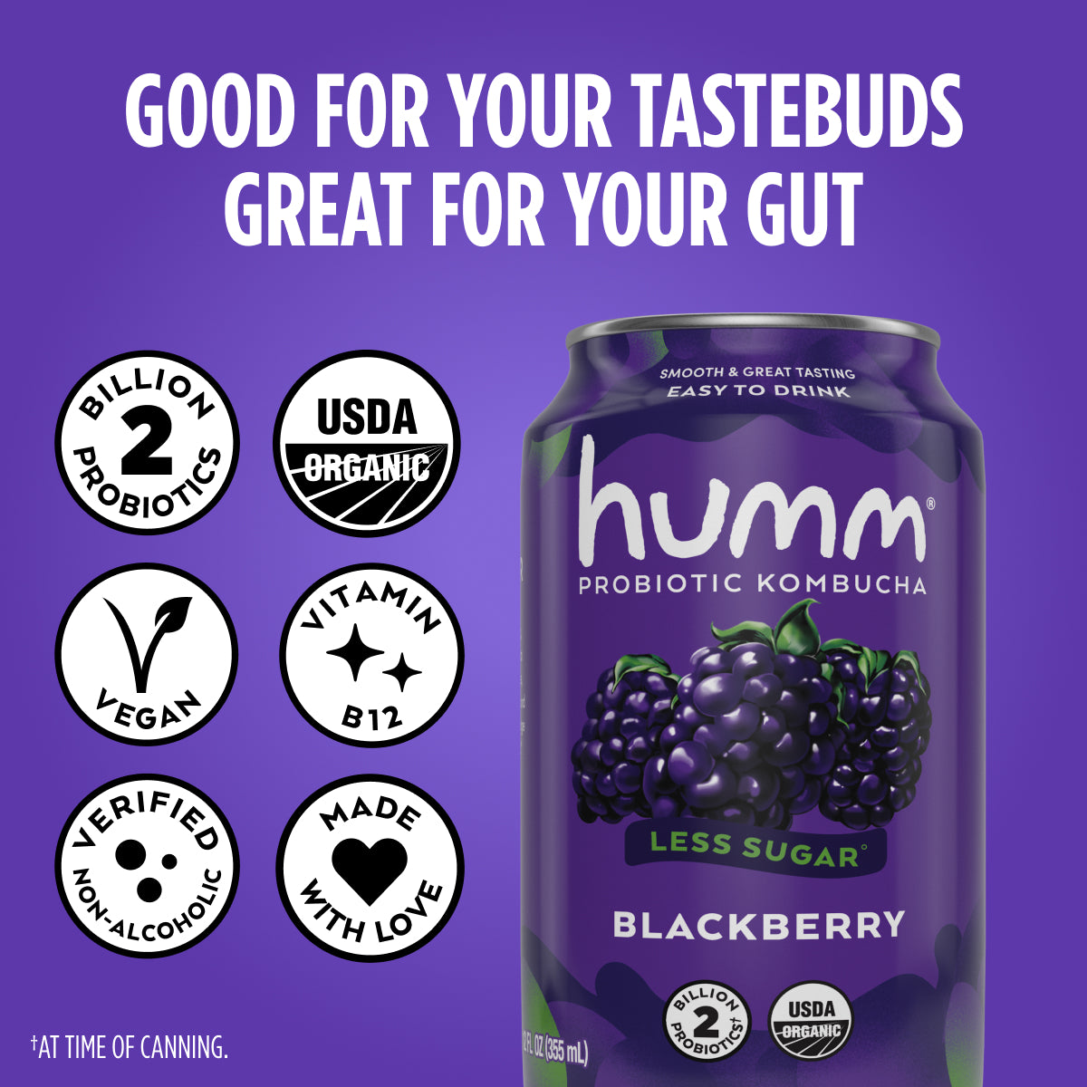Original Blackberry Kombucha