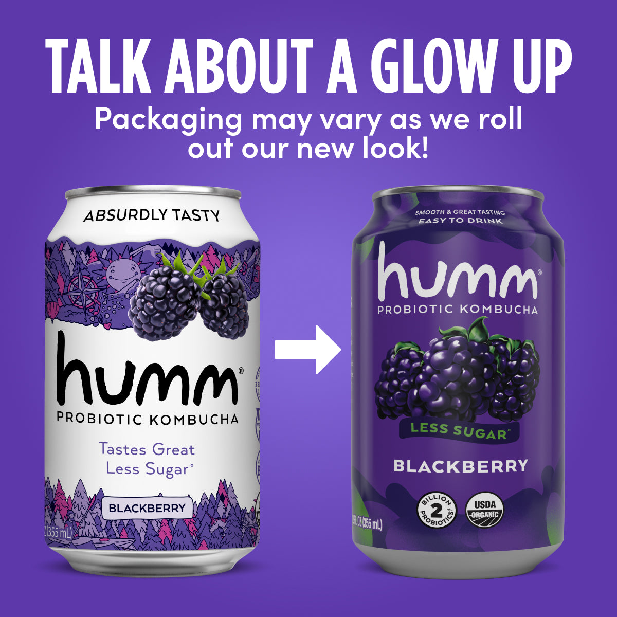 Original Blackberry Kombucha