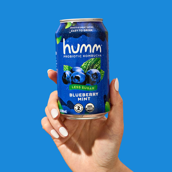 Original Blueberry Mint Kombucha | Humm Kombucha