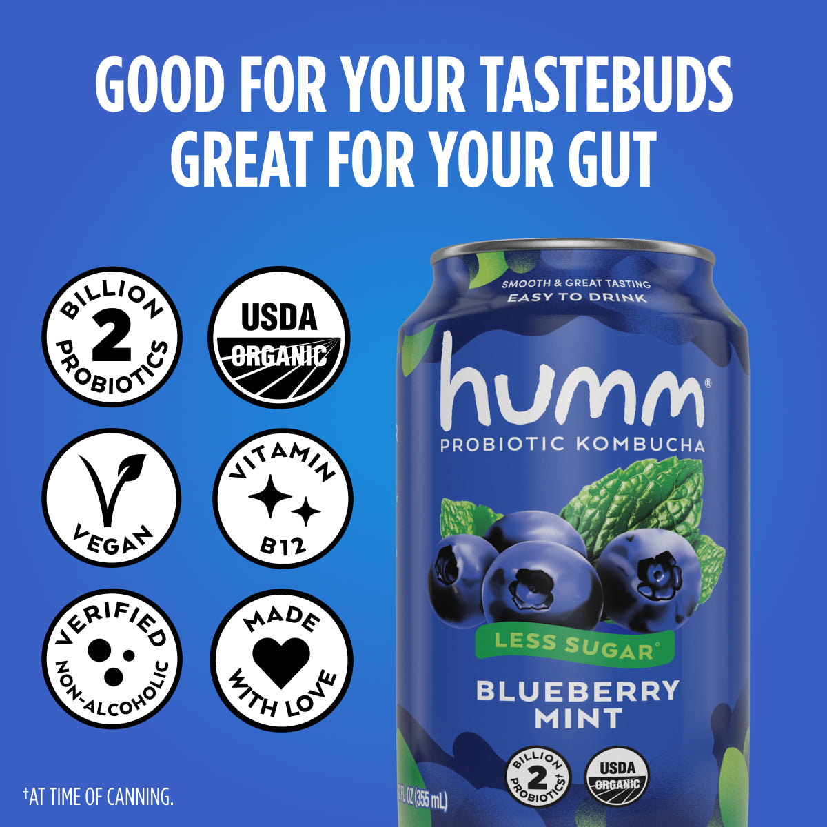 Original Blueberry Mint Kombucha