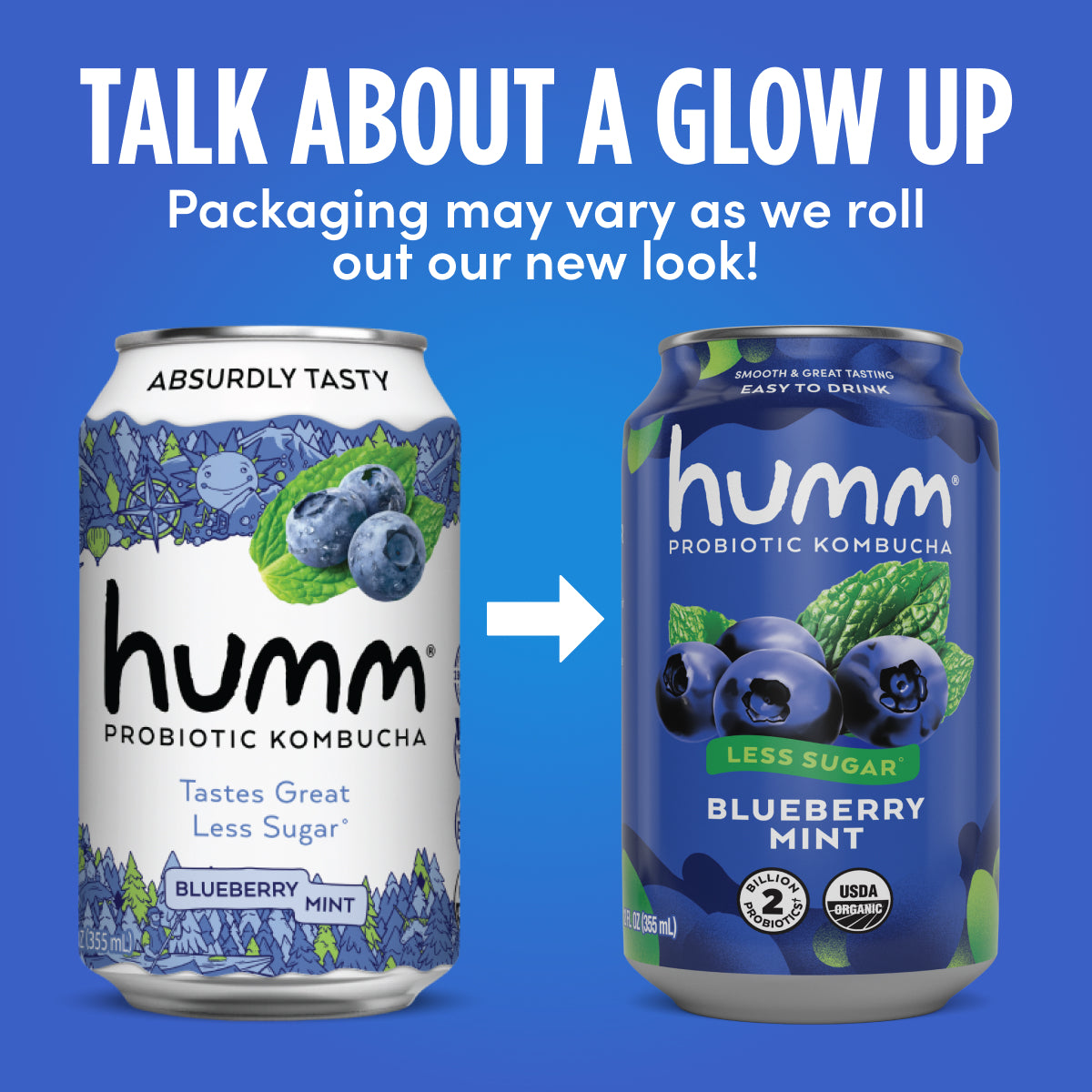 Original Blueberry Mint Kombucha
