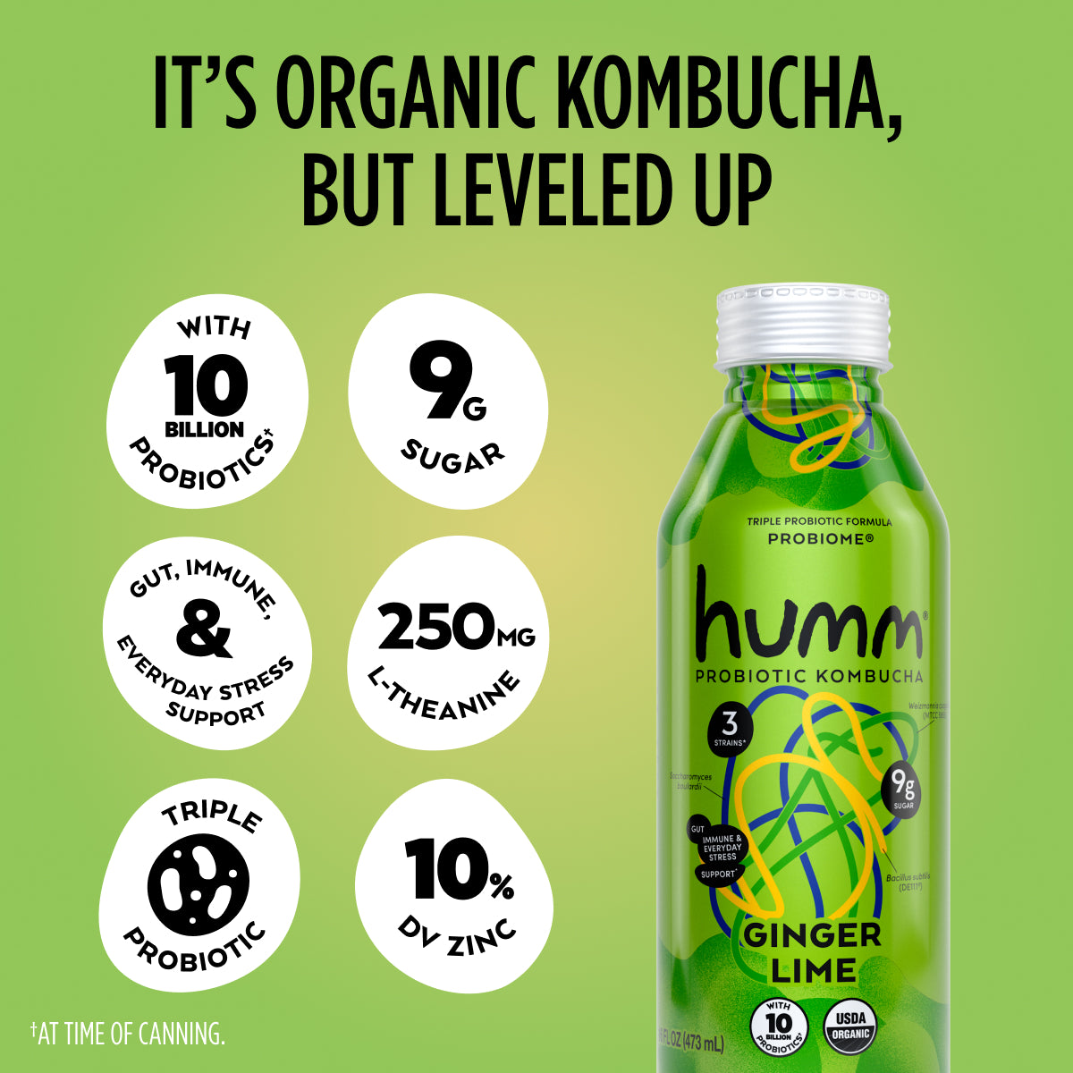 Probiome Ginger Lime Kombucha