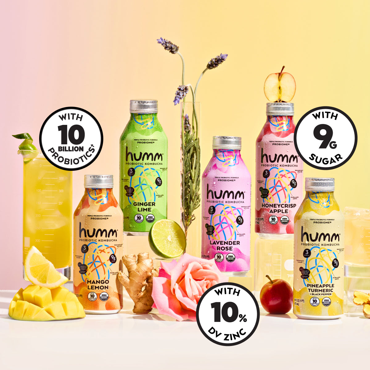 Probiome Honeycrisp Apple Kombucha – Humm Kombucha