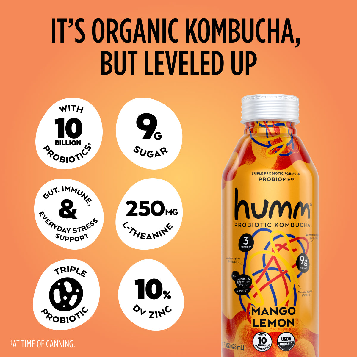 Probiome Mango Lemon Kombucha
