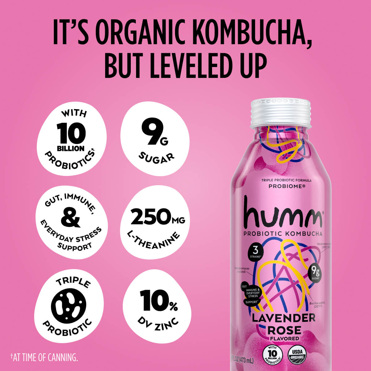 probiome bottle with leveled up facts