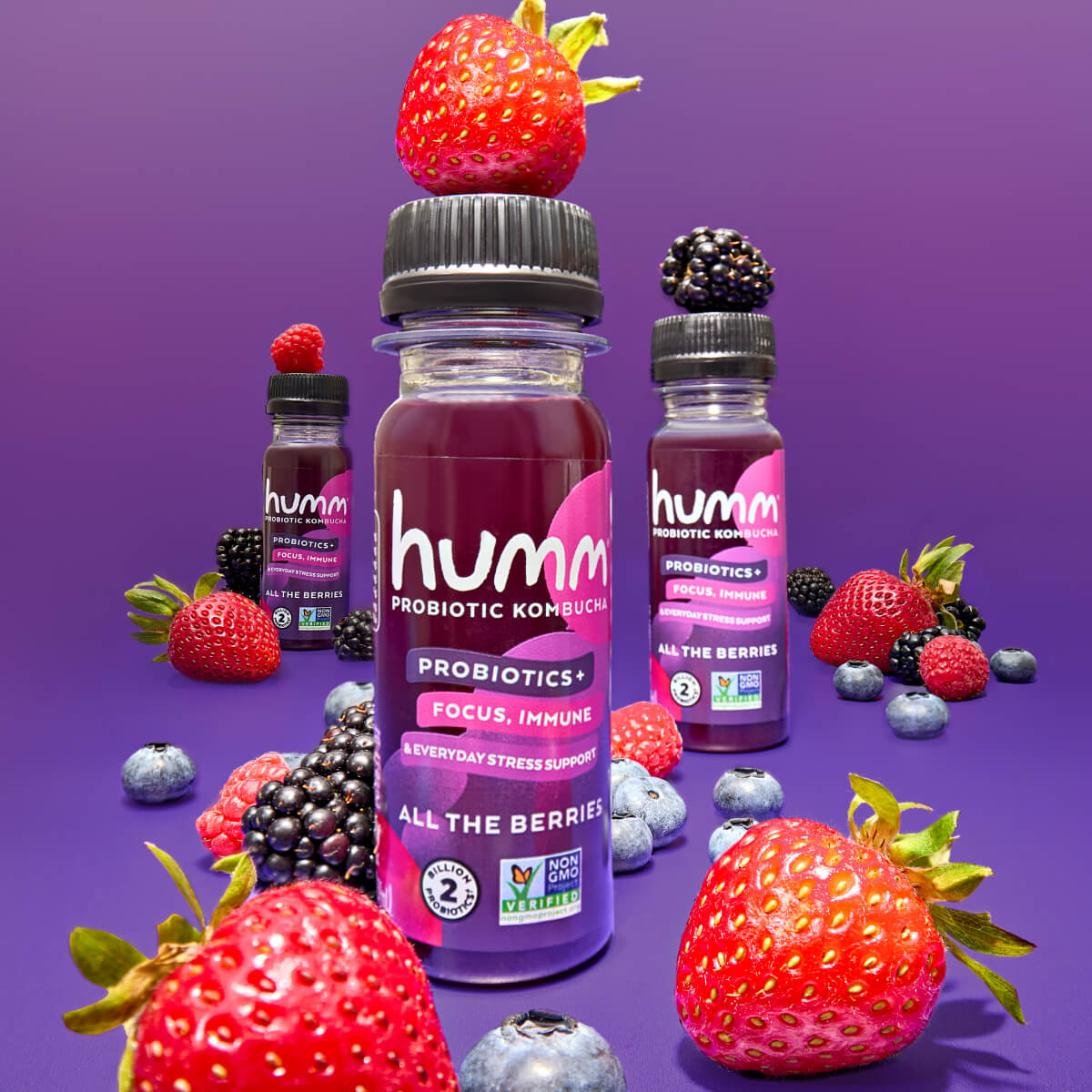 All The Berries