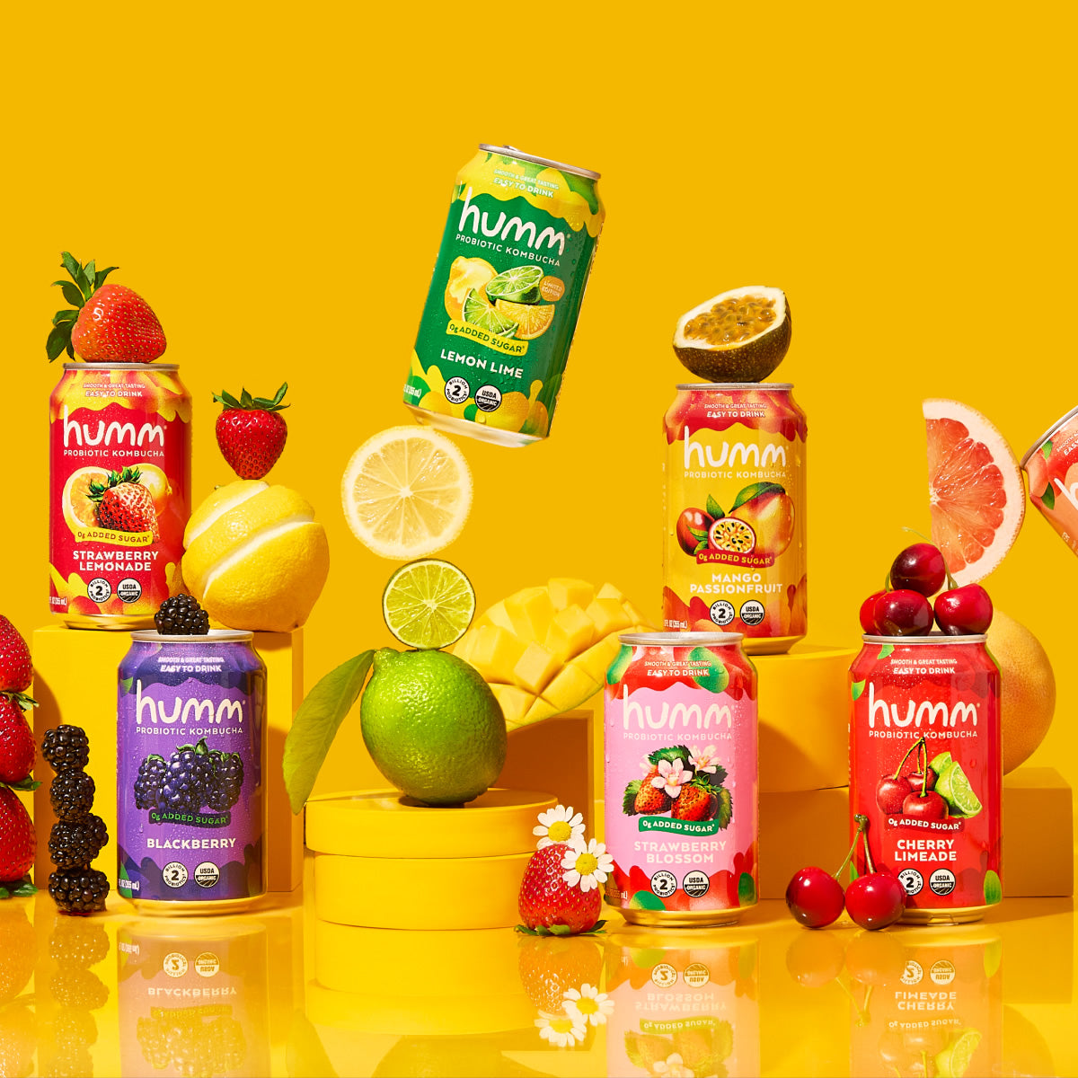 Shop All – Humm Kombucha