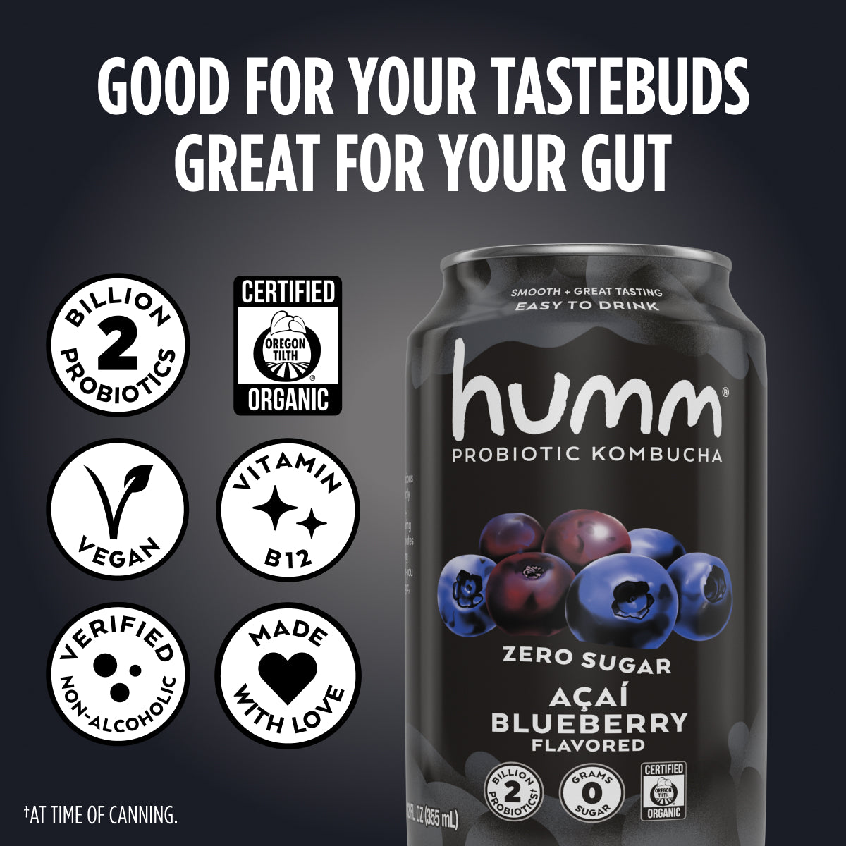 Zero Sugar Acai Blueberry Kombucha