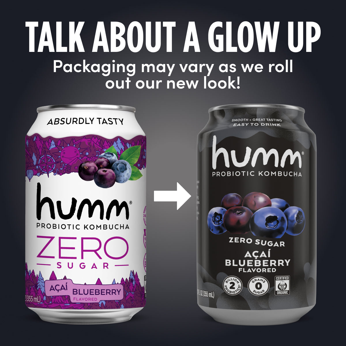 Zero Sugar Acai Blueberry Kombucha