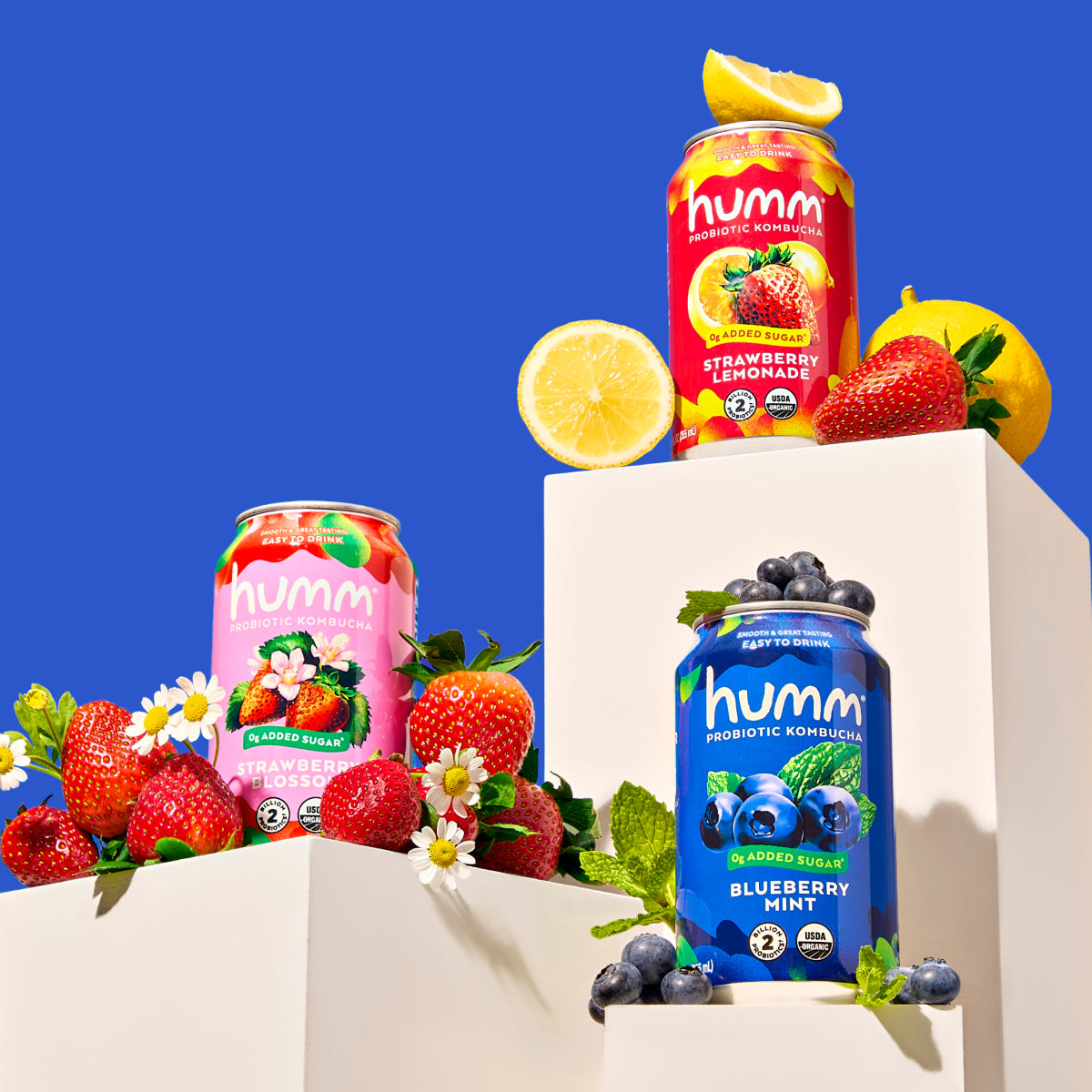 "The Berry Best" Variety Pack