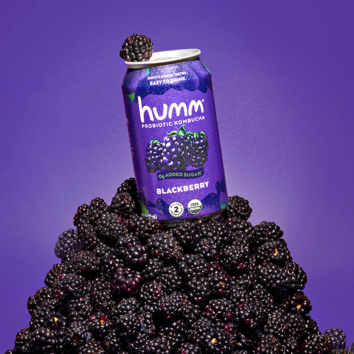 "Crowd Pleaser" Variety Pack