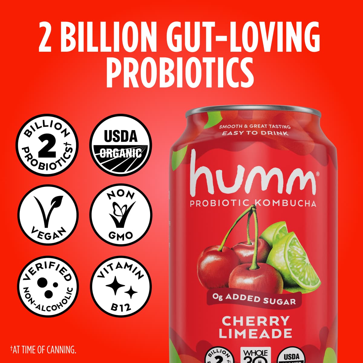 2 billion gut loving probiotics