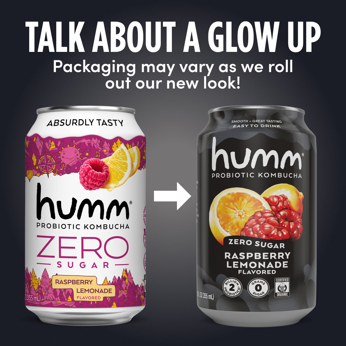 Zero Sugar Kombucha Variety Pack