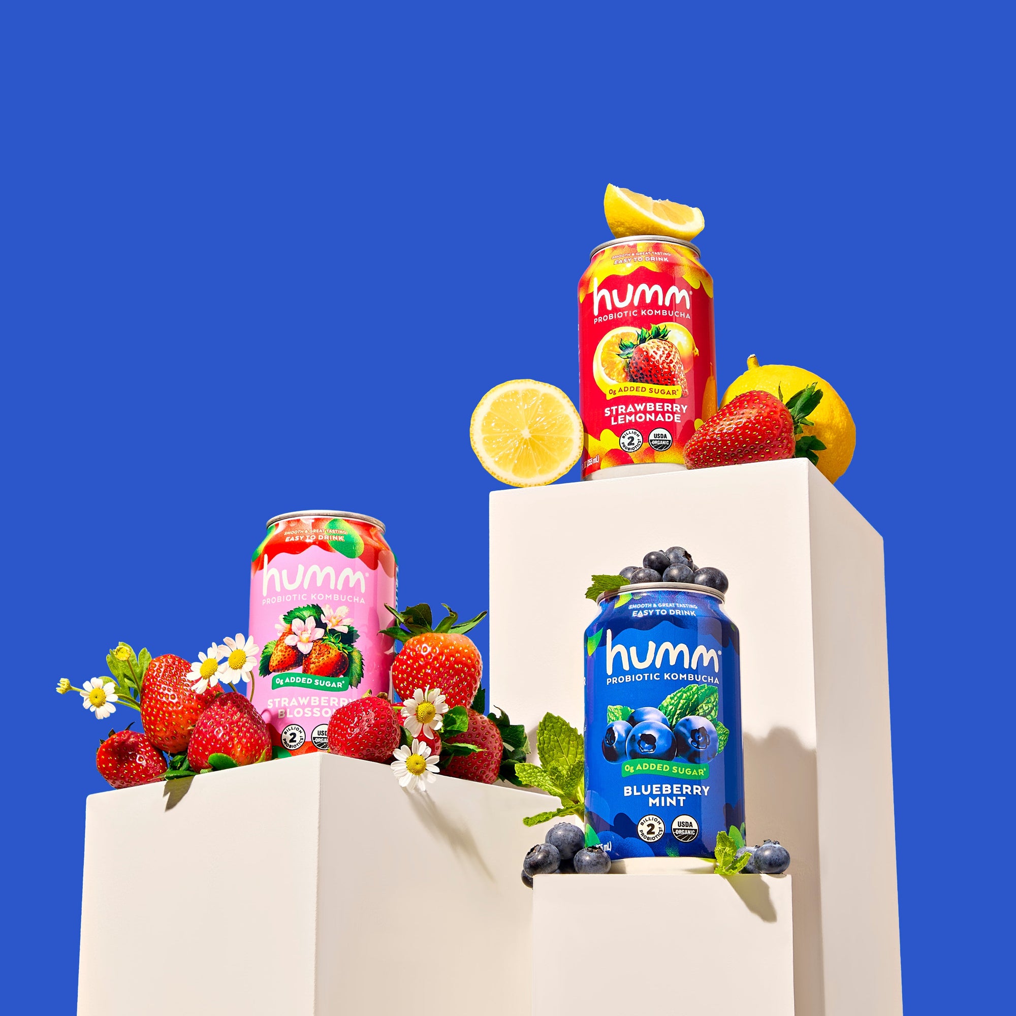 Cans of Humm kombucha with fruits on a white platform against a blue background