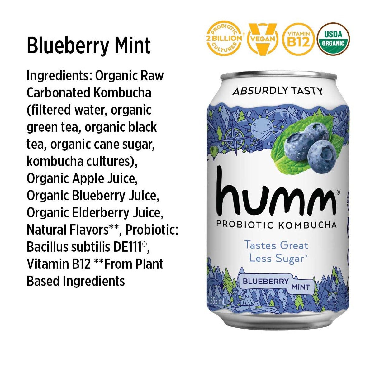 Original Blueberry Mint Kombucha - Humm Kombucha