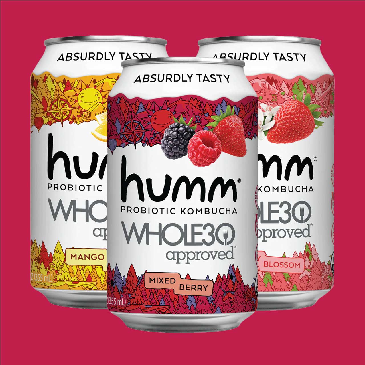 Whole30 Kombucha Variety Pack - Humm Kombucha