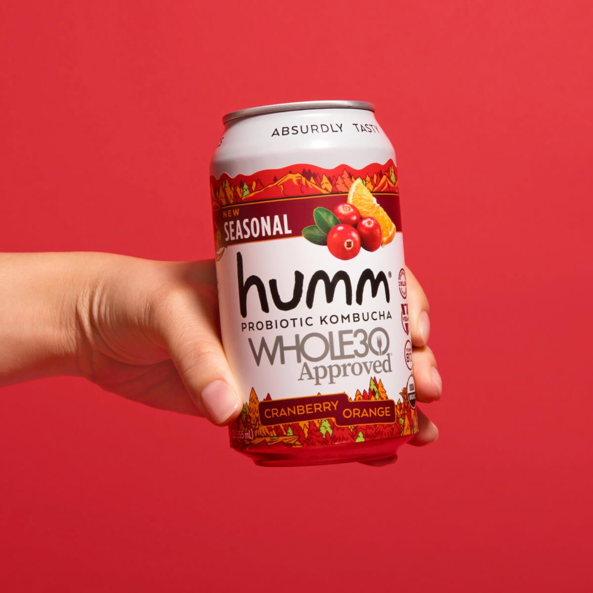 Whole30 Kombucha Winter Variety Pack - Humm Kombucha