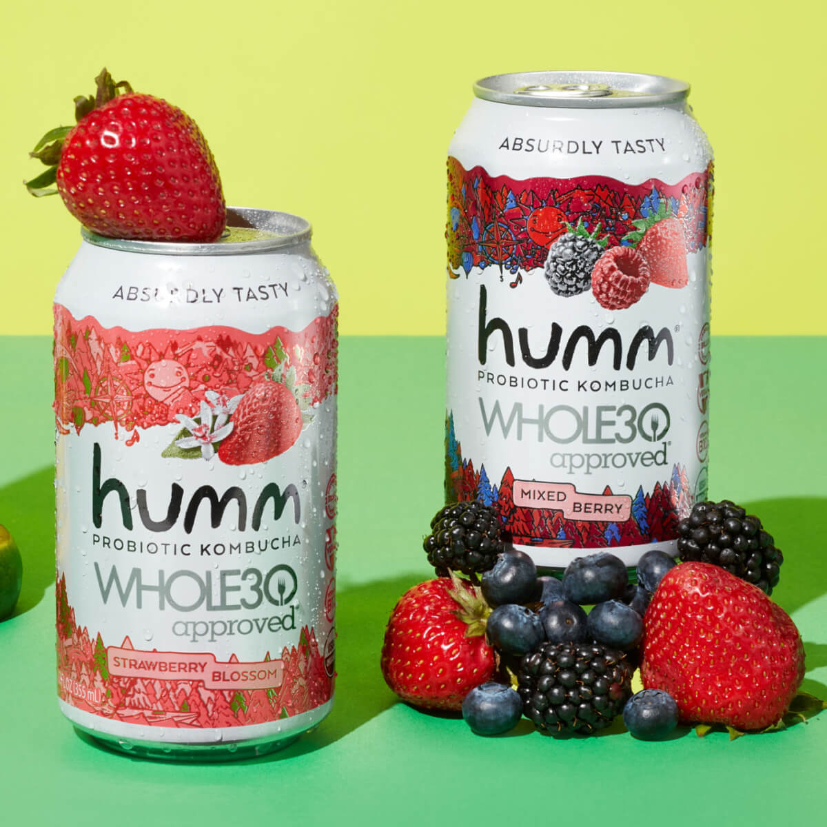 Whole30 Kombucha Winter Variety Pack - Humm Kombucha