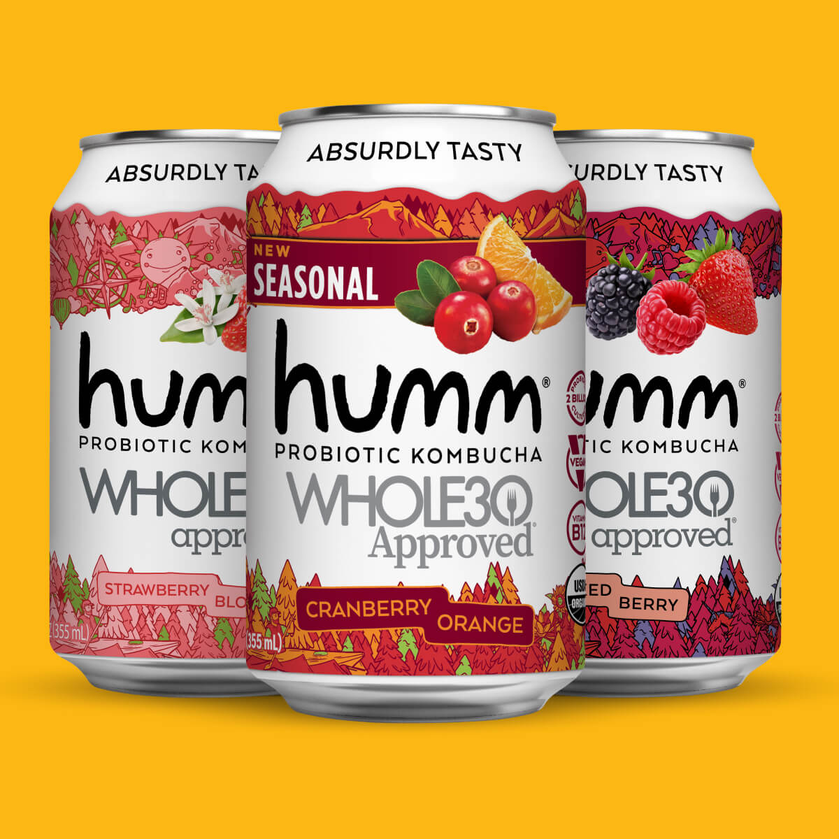 Whole30 Kombucha Winter Variety Pack - Humm Kombucha